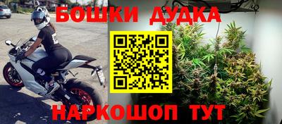 прущие крисы Краснокаменск